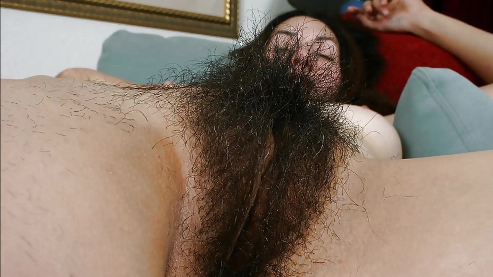 Сучка Savannah Fox показывает куст небритых волос на пизде 