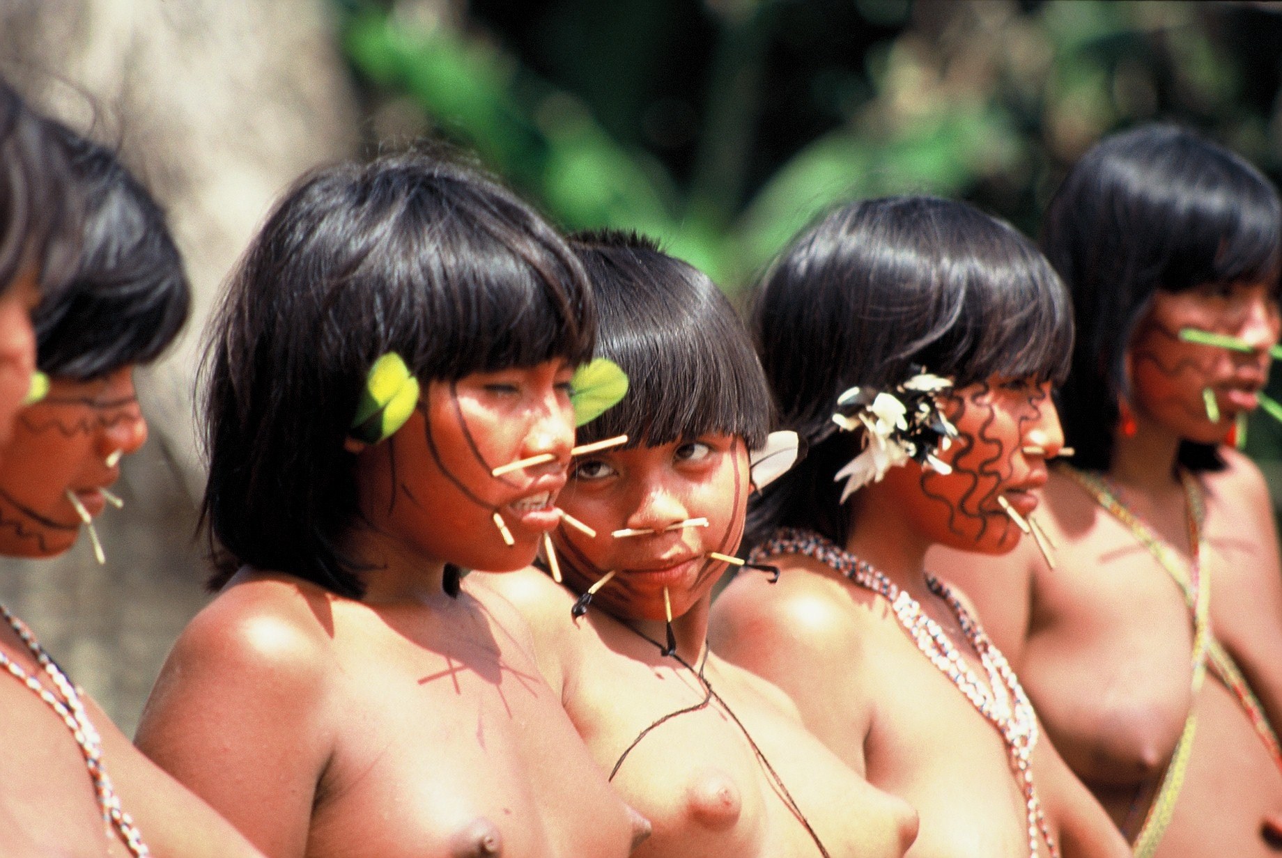 Фото Голых Девушек Бразильских Племен